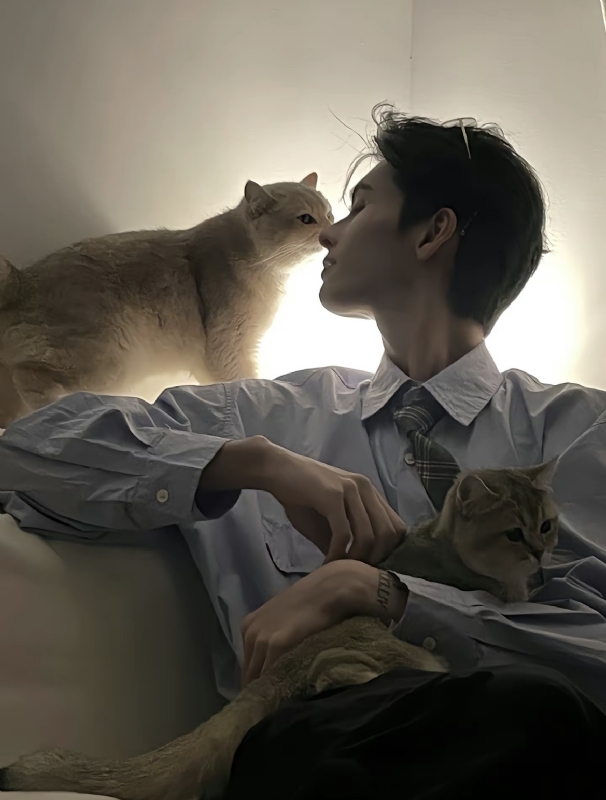 怪猫的第一张照片--赣州相亲服务中心