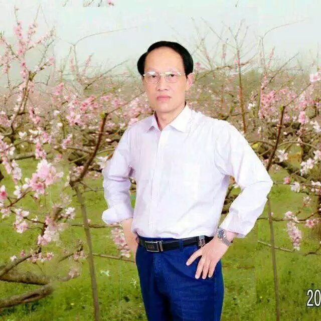 枫叶的第一张照片--赣州相亲服务中心
